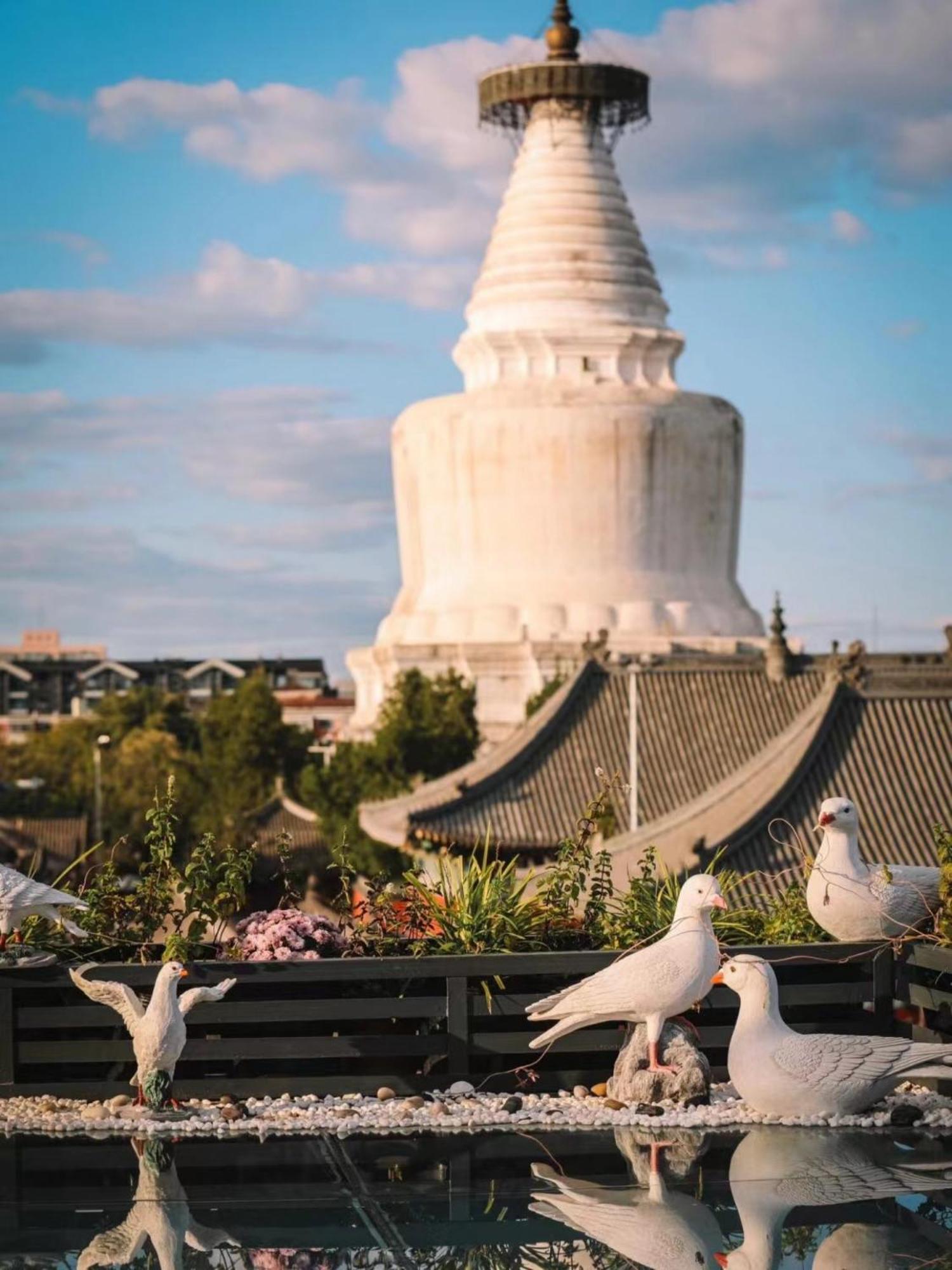 East Sacred Hotel ᴸᴱo---Foreign Accept---Tourism Service English-Speaking 丨 Near Tiananmen Forbidden City丨very Close To Metro Zhangzizhong And Beixinqiao 丨european Foot Ball English丨free Advance Tickets And Laundry Drying Service Coffee Snacks Beijing Bagian luar foto